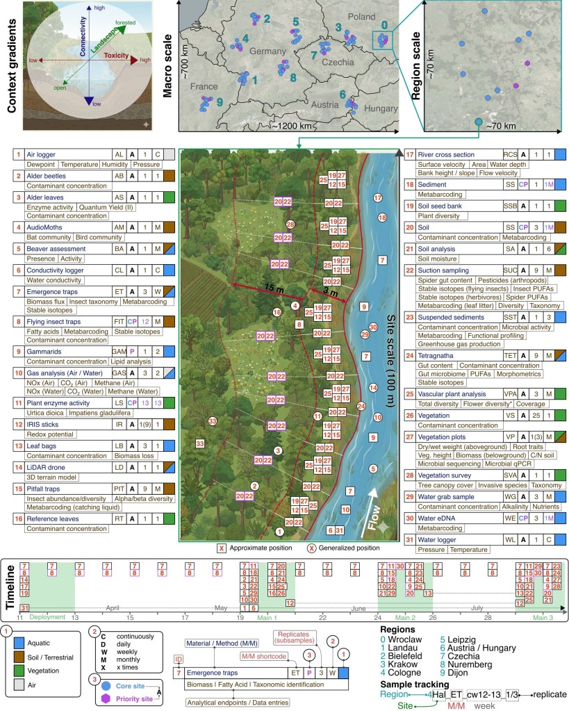 A complex infographic with several images of a stream and of central Europe, many fieldwork sites labeled with pins. 